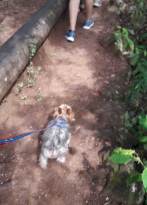 Salão das Areias Coloridas-雷恩克斯必去景点