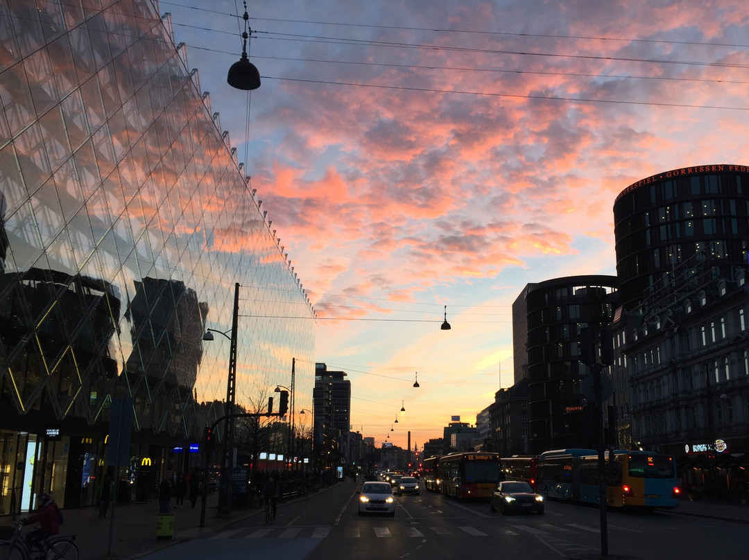 Art Tours Copenhagen-哥本哈根必去景点