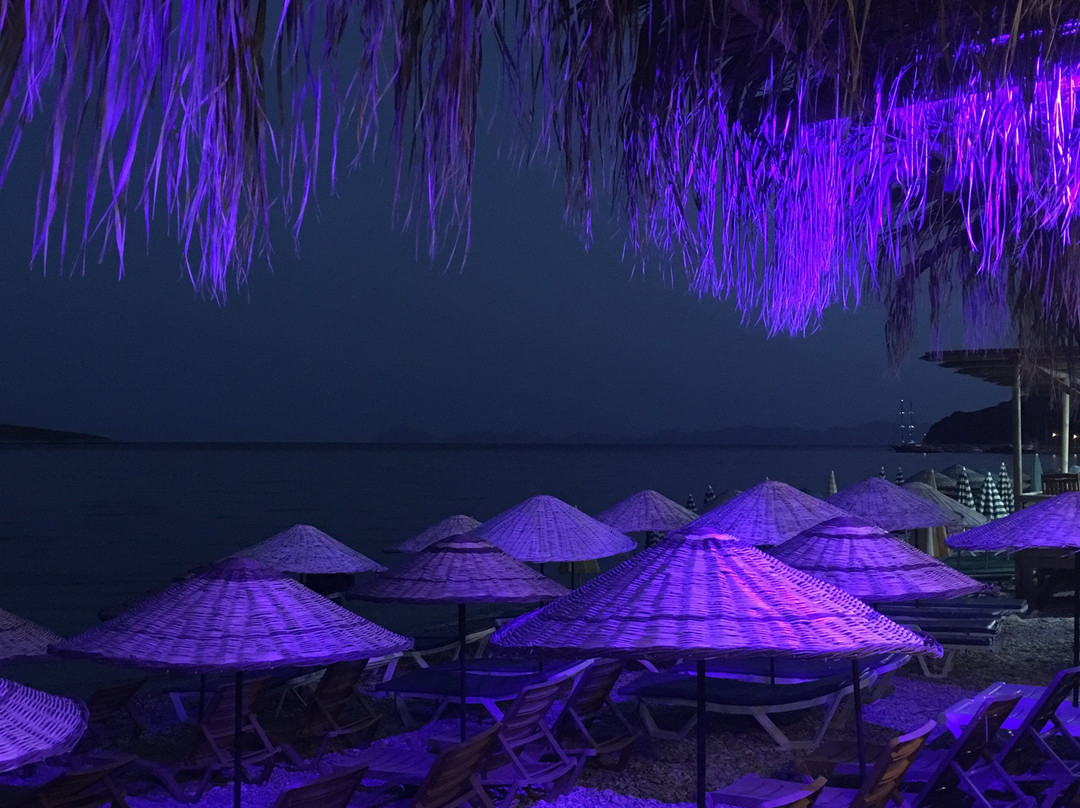 Elit Otel Palamutbuku主图