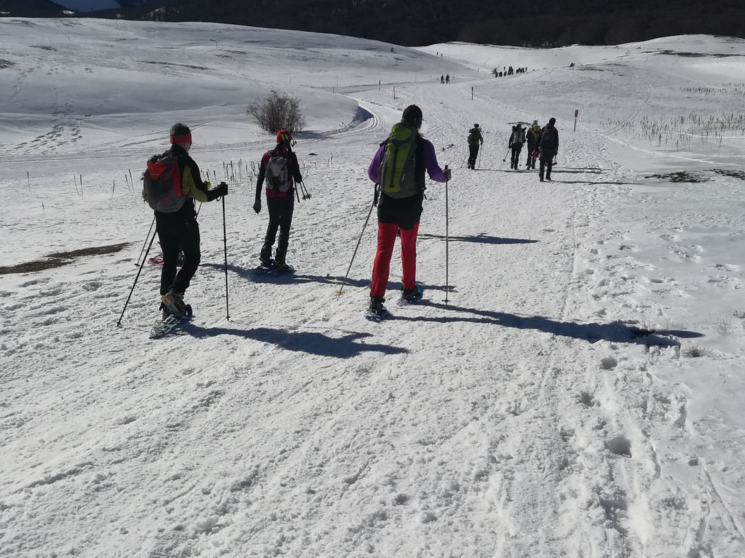 Rifugio Alantino主图