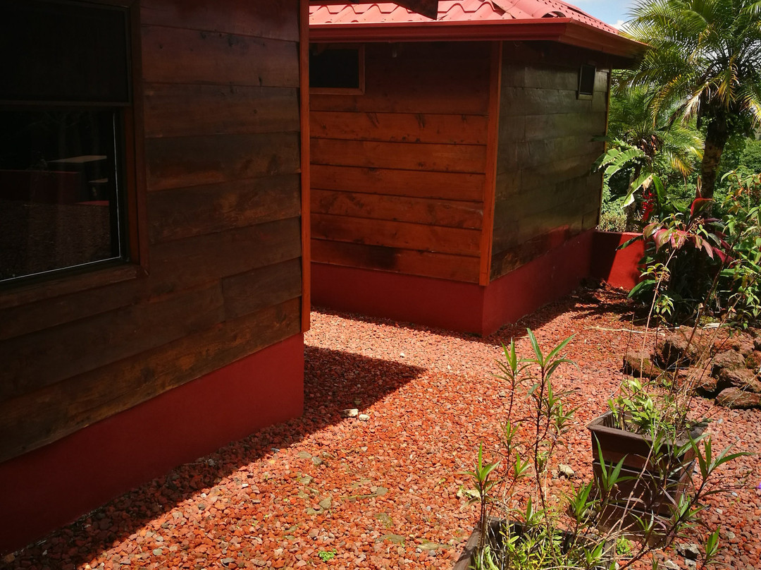 Hotel Mango Valley主图