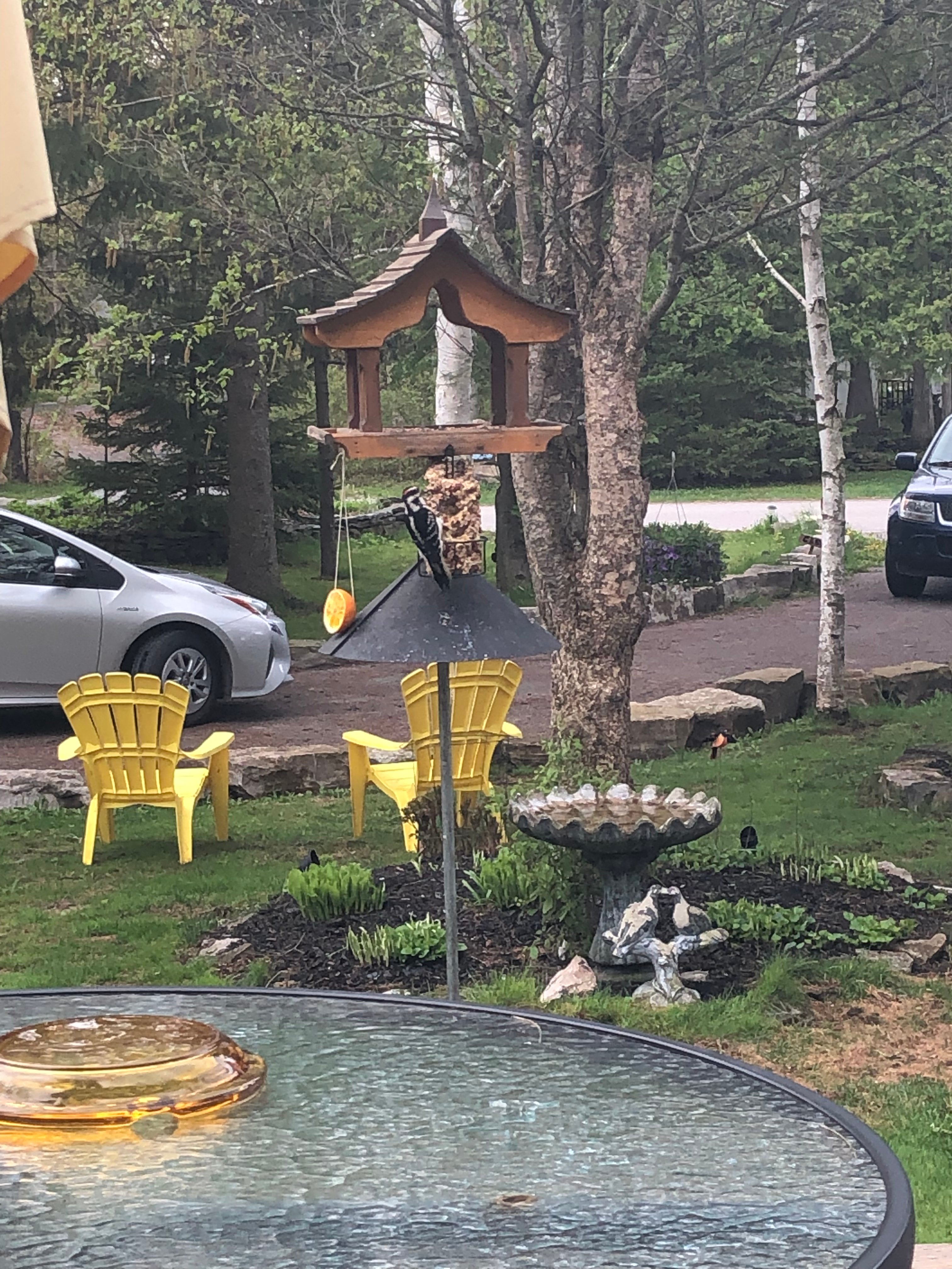 Avian Woods Bed & Breakfast-官方