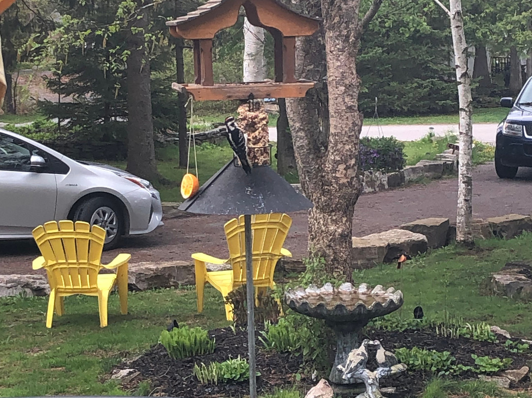 Avian Woods Bed & Breakfast主图