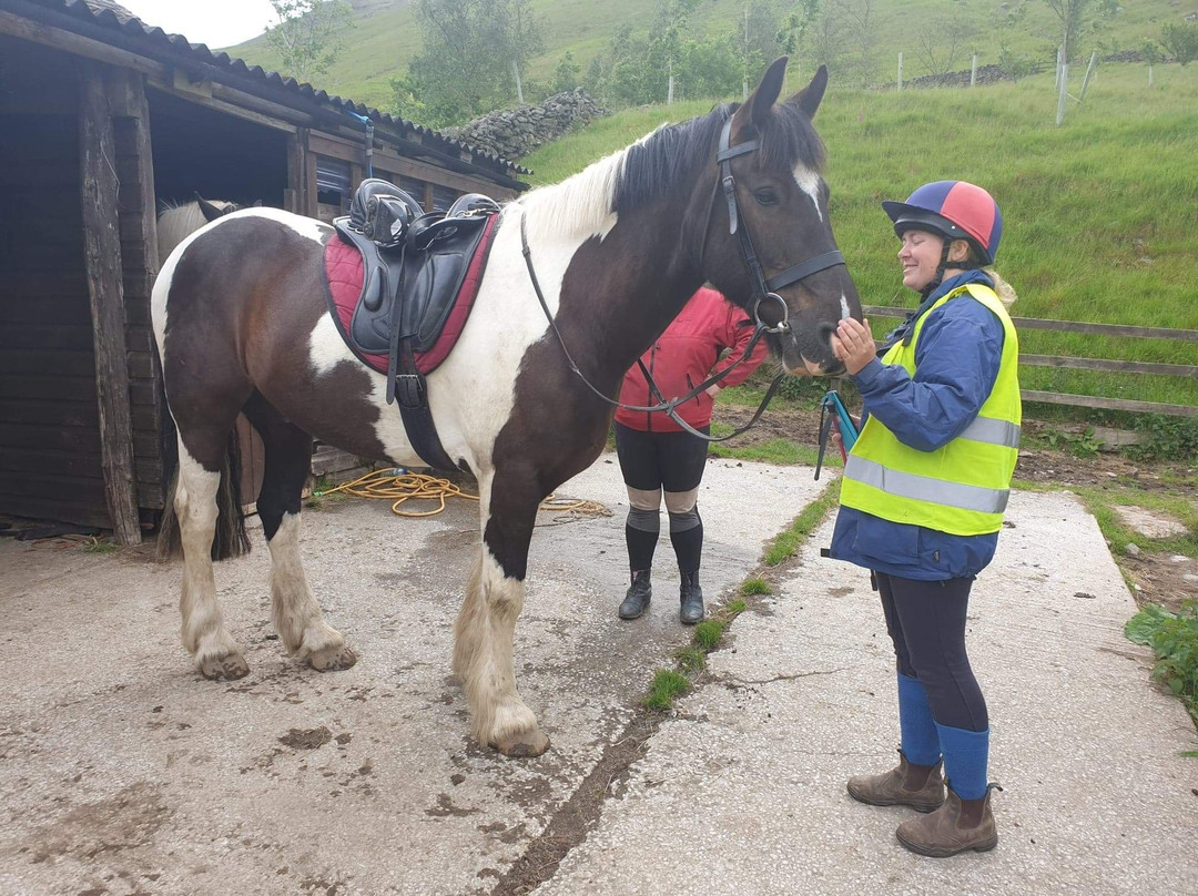 Lakeland Pony Trek-温德米尔必去景点