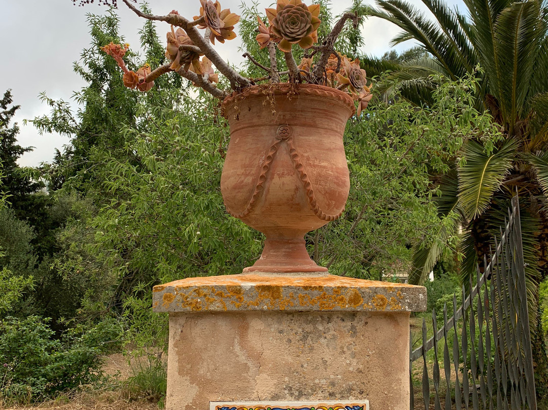 Agroturisme Finca Sa Maniga主图