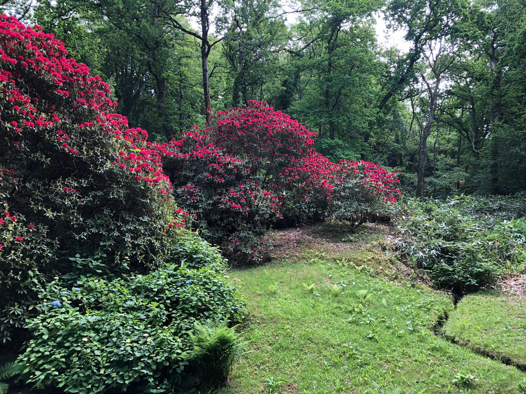 Le Bois Des Moutiers景点图片