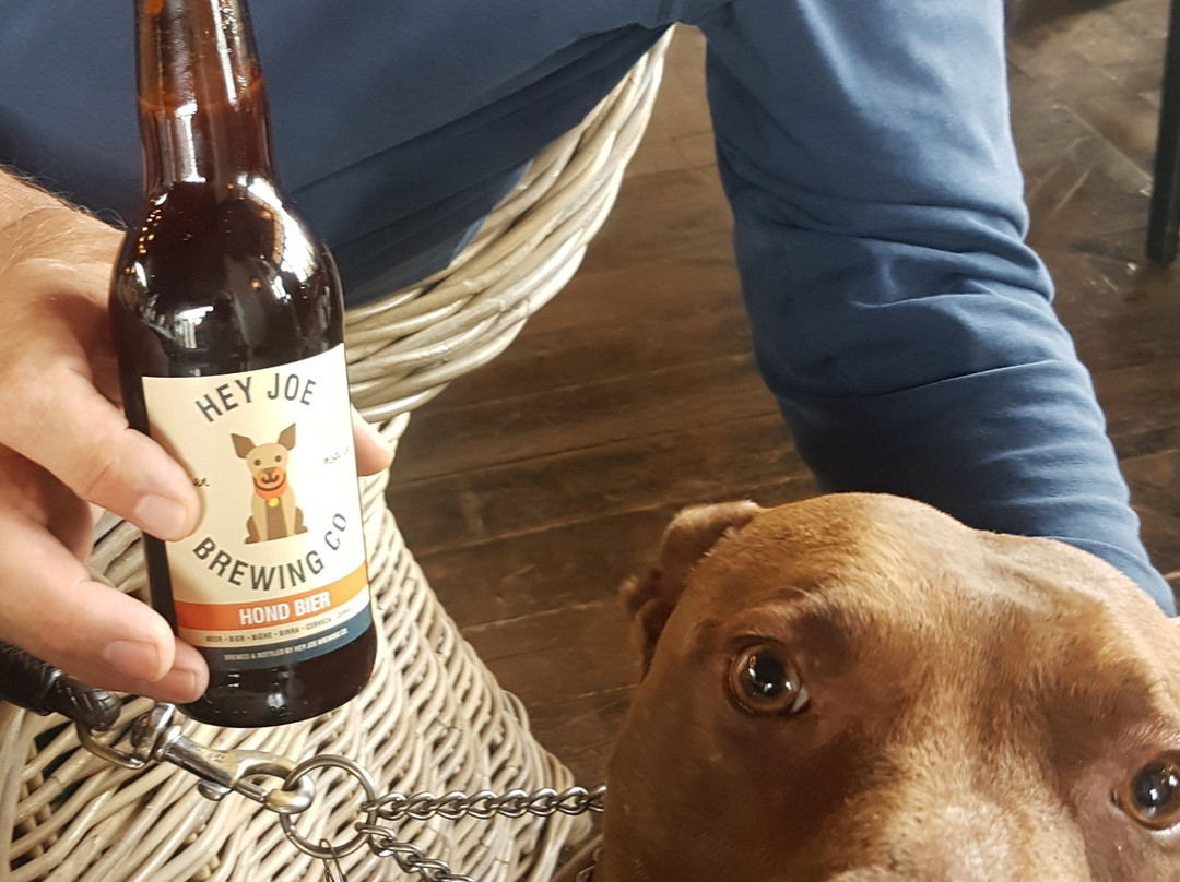 Hey Joe Brewery-法兰舒克必去景点