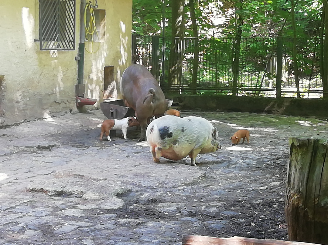 Tierpark Gera-Gera必去景点