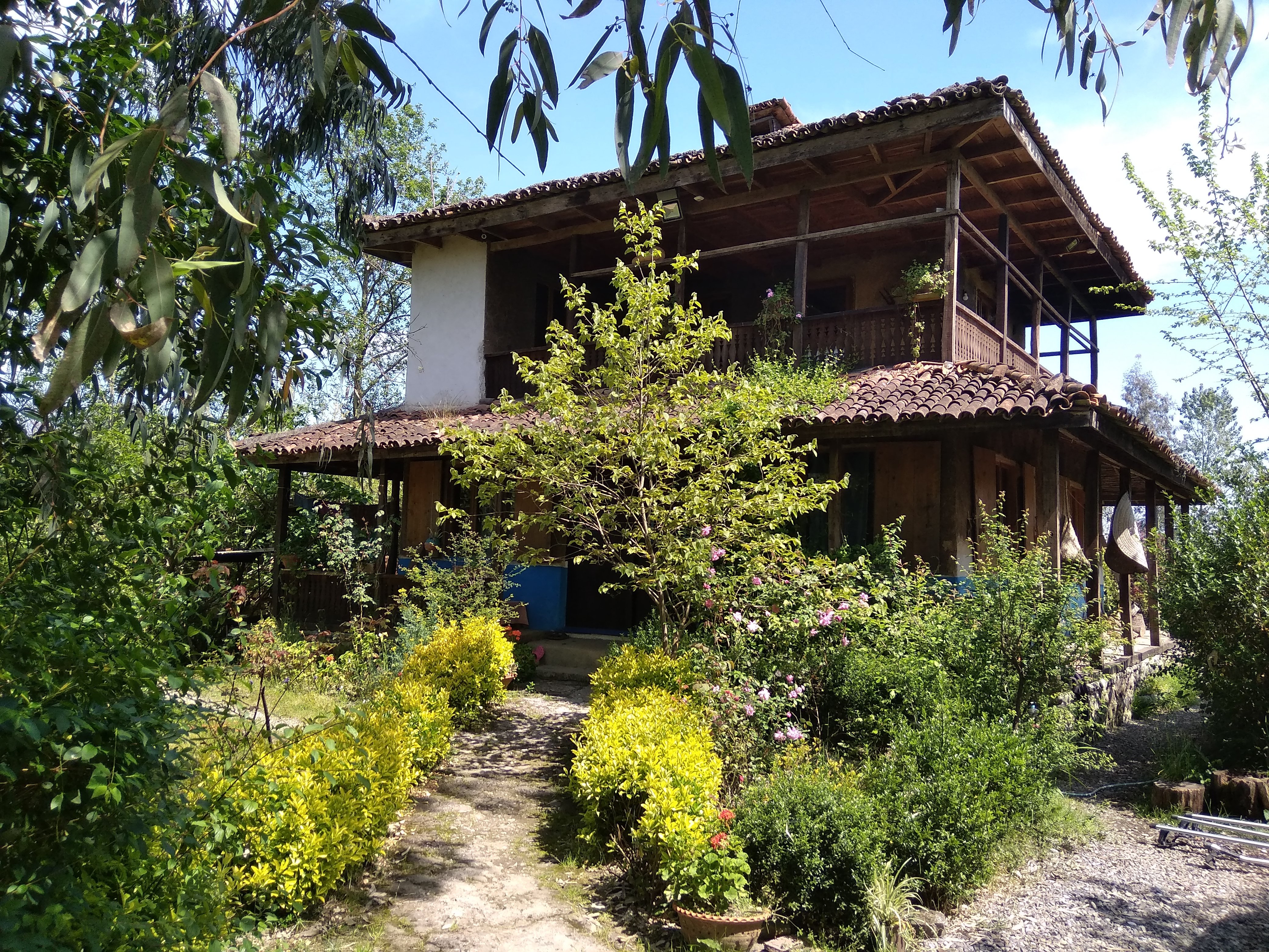 Khoone Geli-官方