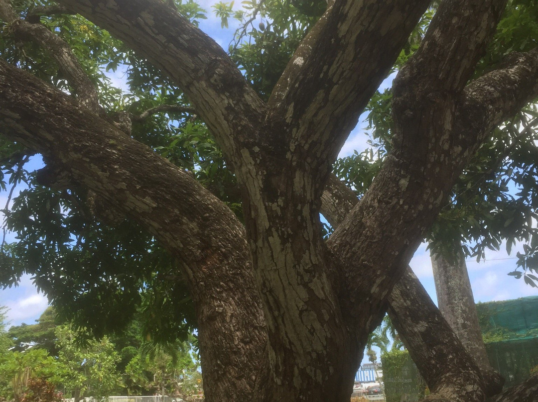 Scarborough Botanical Garden-斯卡伯勒必去景点