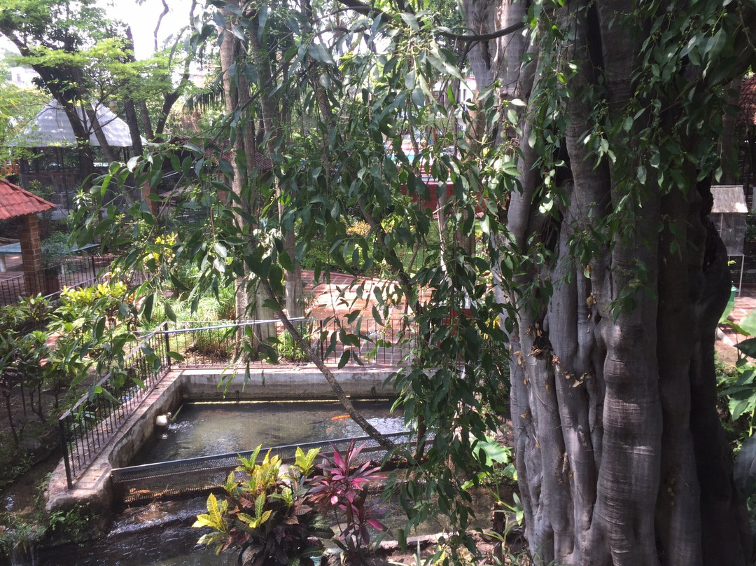 Bungalows Zoviq主图