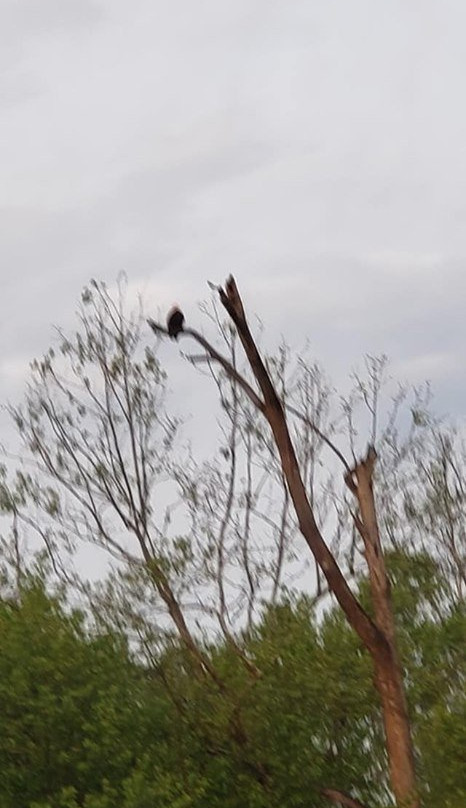 Whitewater Valley Railroad-Connersville必去景点