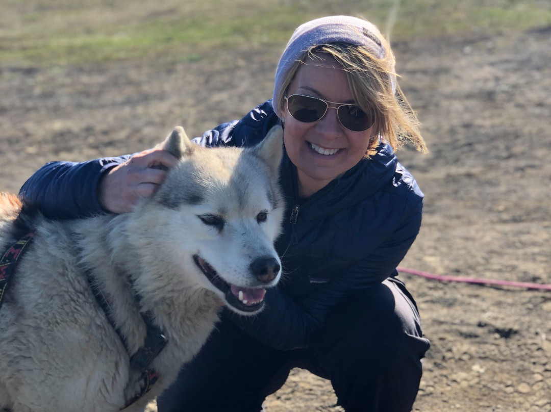 Dogsledding Iceland-莫斯费德斯拜尔必去景点