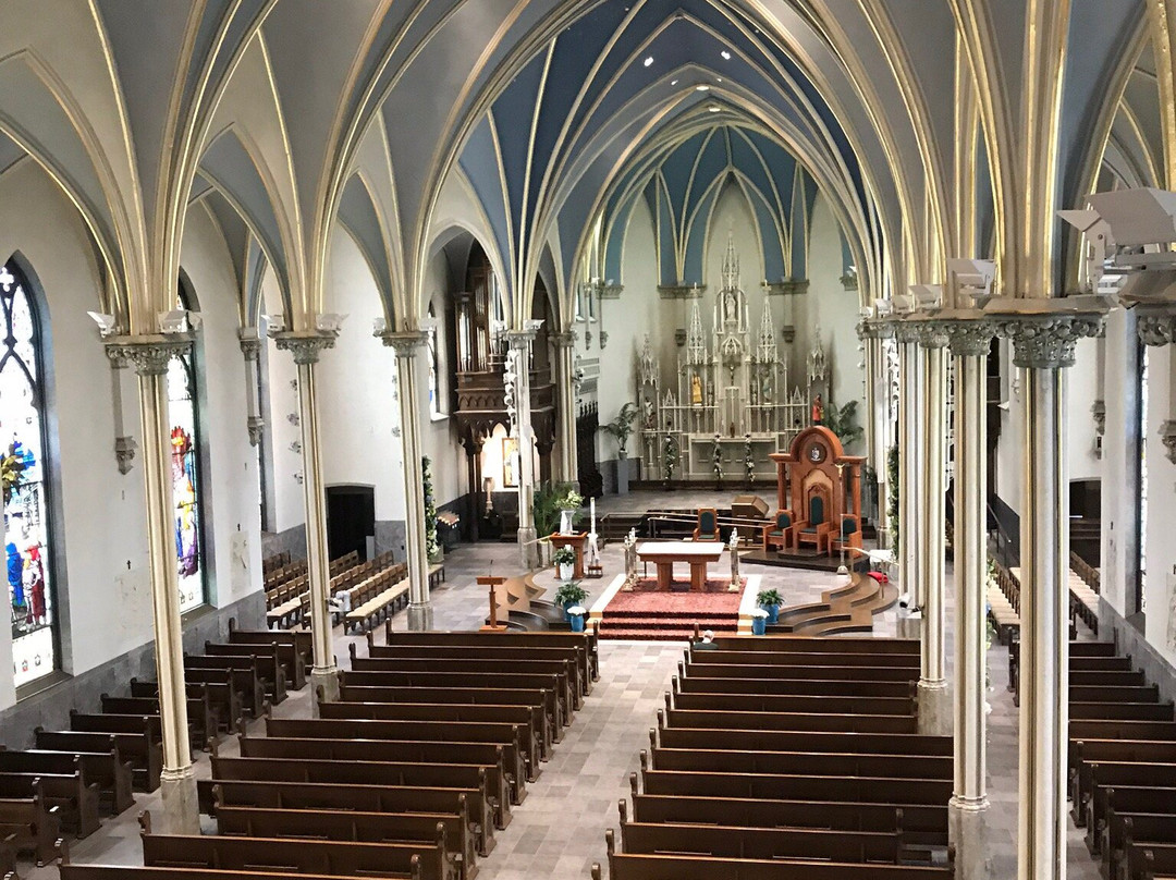 Cathedral of Saint Andrew-大急流市必去景点