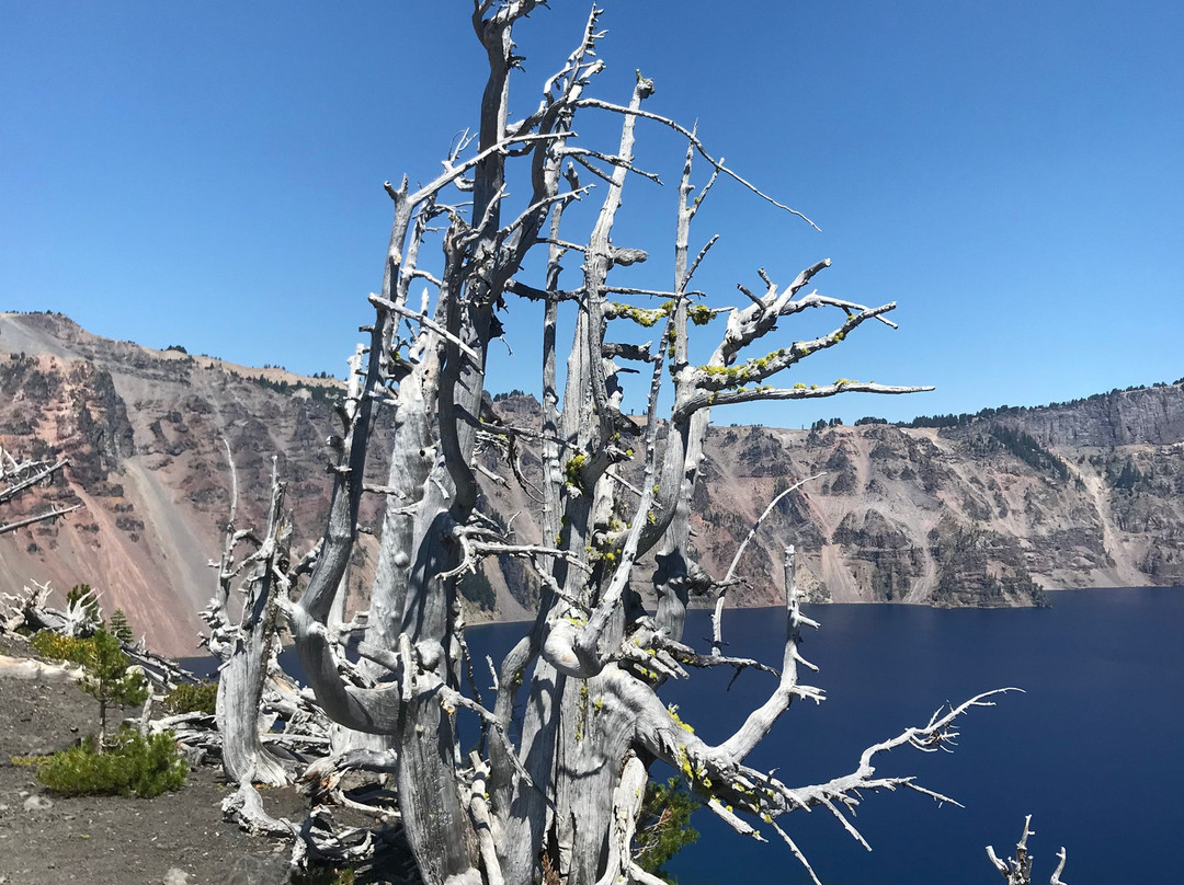 Wizard Island Summit Trail景点图片