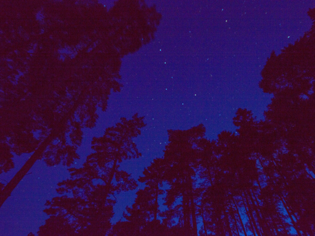 Tunstall Reservoir-Wolsingham必去景点