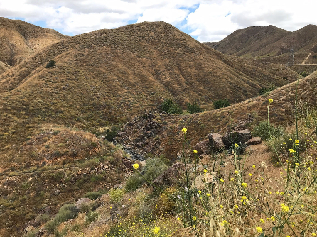 Walker Canyon Trailhead-埃尔西诺湖必去景点