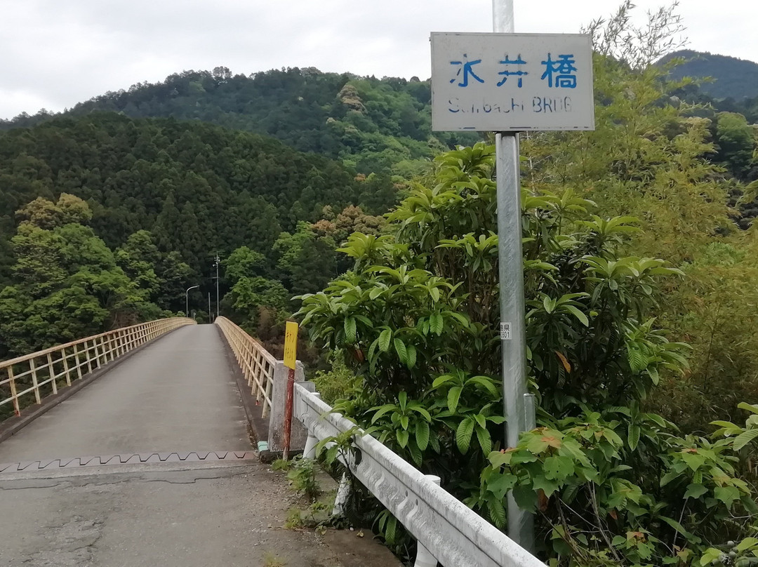 Tairyu-ji Temple  Niomon-阿南市必去景点