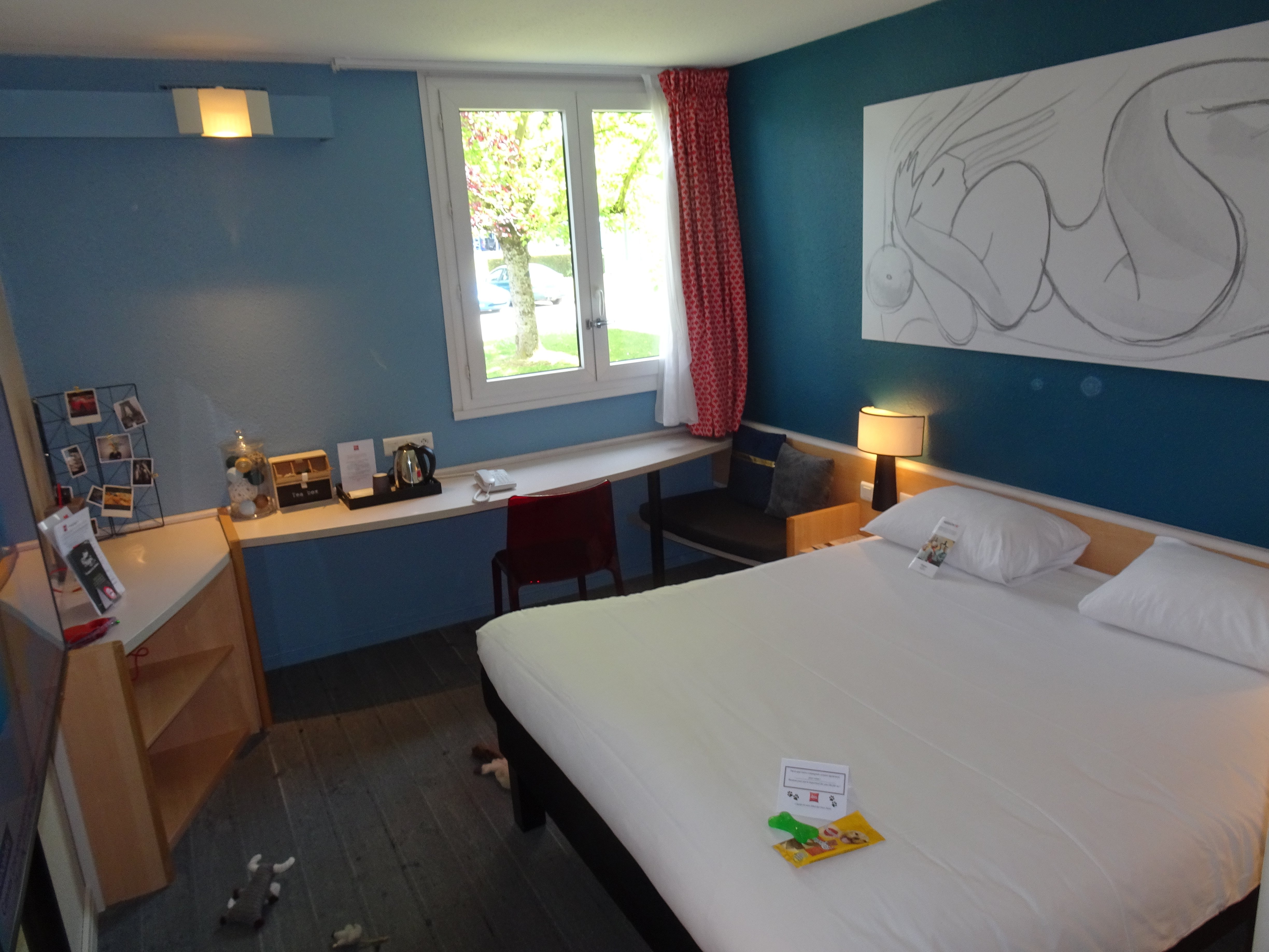 Hotel ibis Tours Nord-酒店景观