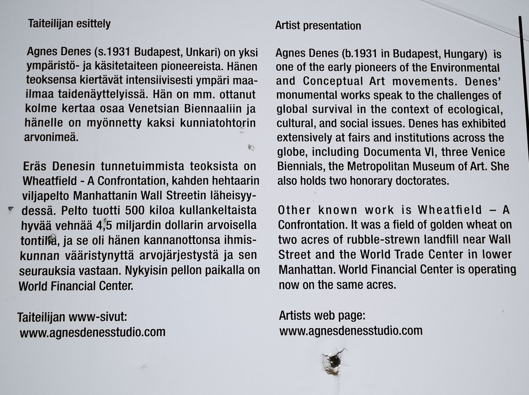 Puuvuori-Ylojarvi必去景点