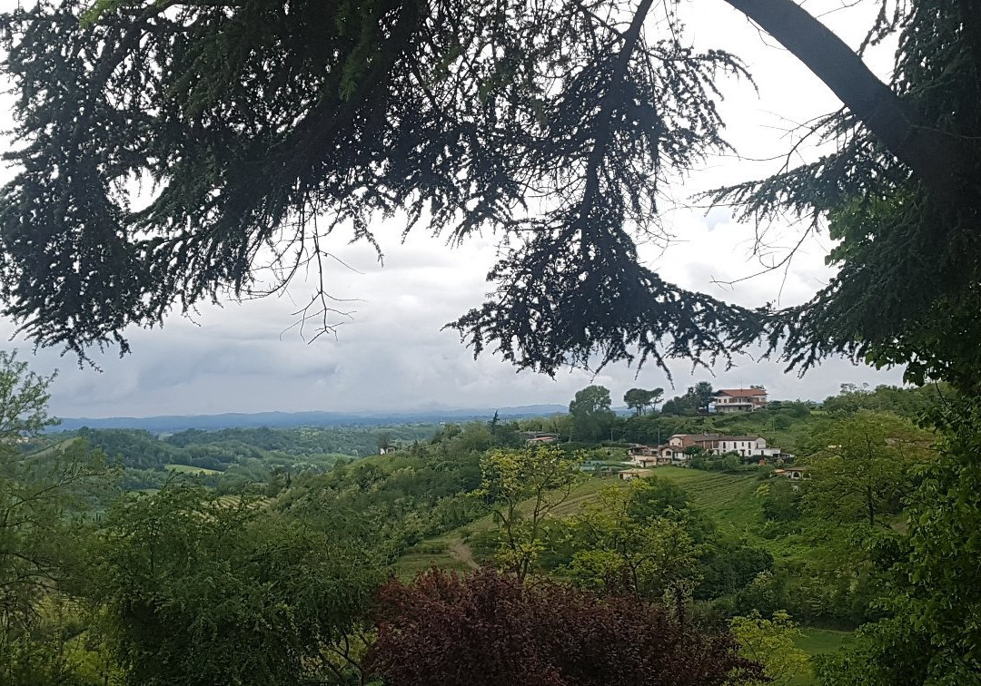 Gaudio Bricco Mondalino-Vignale Monferrato必去景点