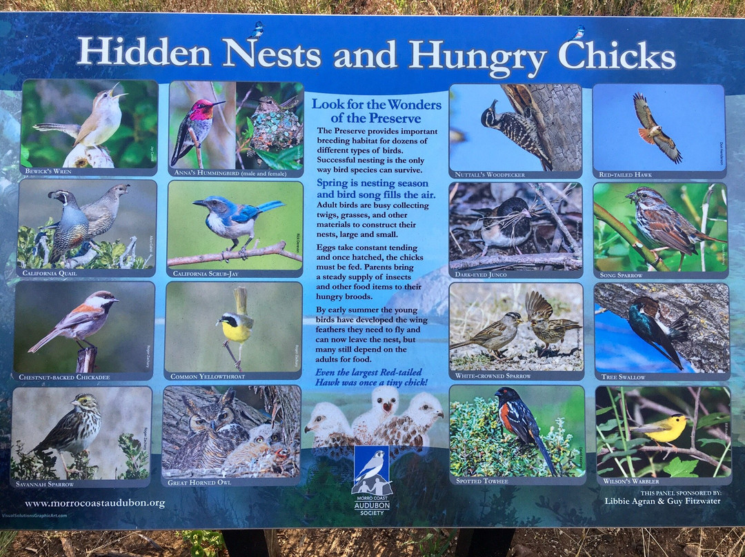 Sweet Springs Nature Preserve景点图片