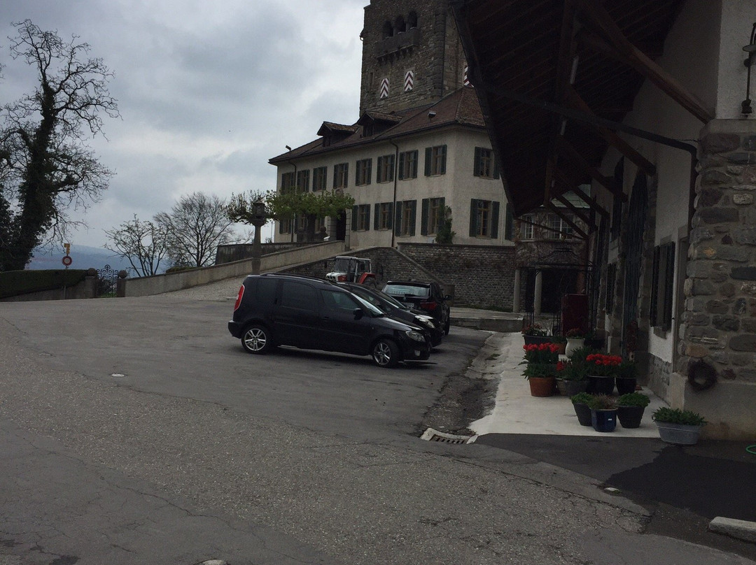 Schloss Uster-乌斯特必去景点