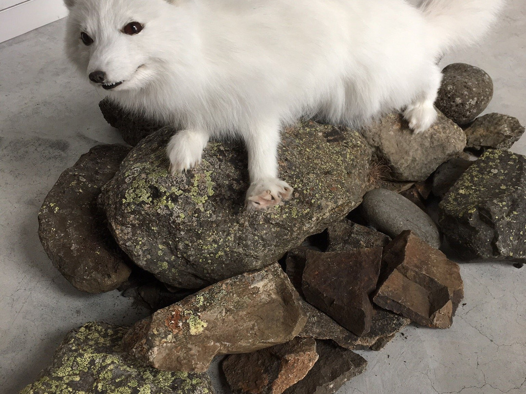 Snaefellsstofa Visitor Center-埃伊尔斯塔济必去景点