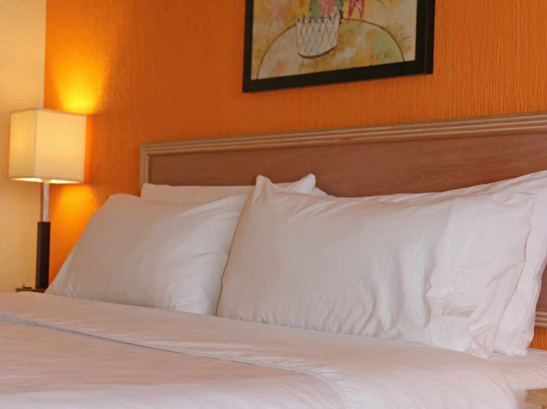 拉皮达德假日酒店主图