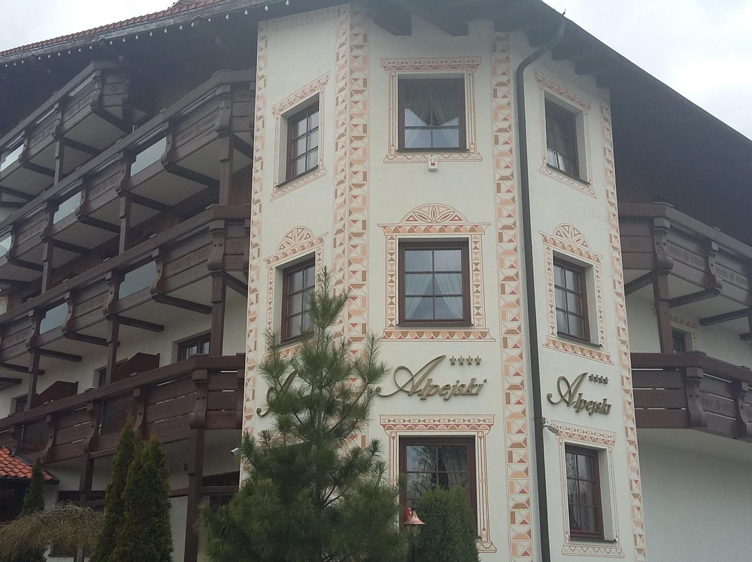 Alpejski Hotel主图
