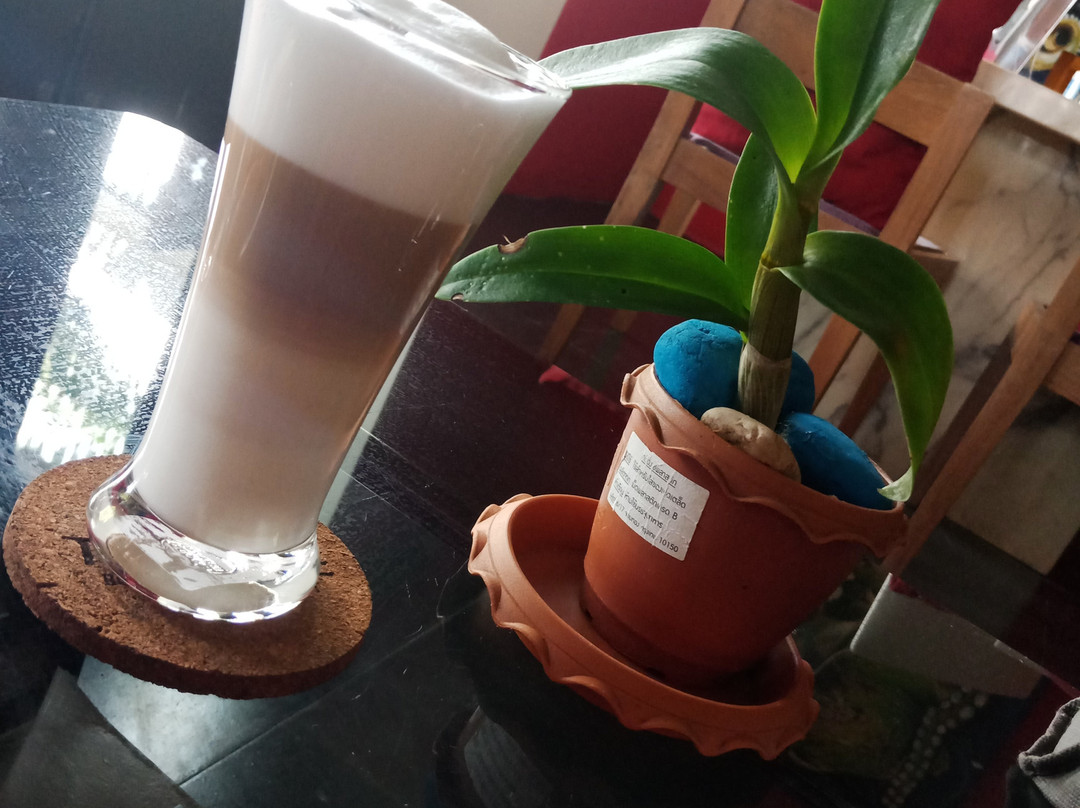 Tea Tree Boutique Resort主图