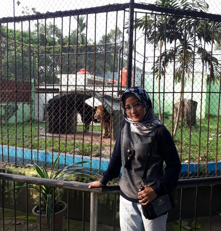 Rimbo Park Zoo-占碑必去景点