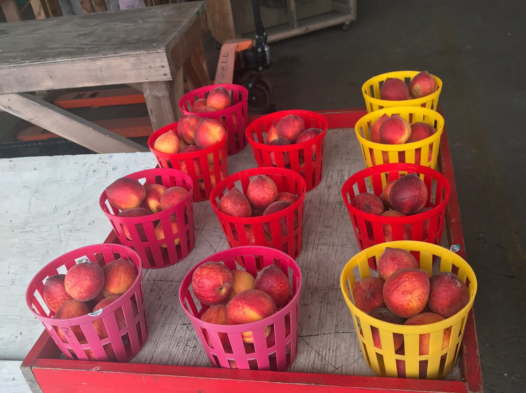 Cordele State Farmers Market景点图片