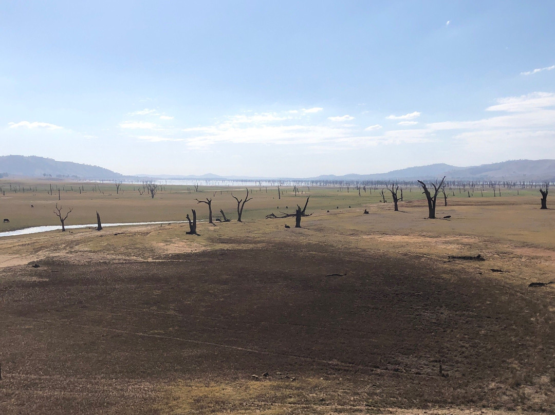 High Country Rail Trail-沃东加必去景点