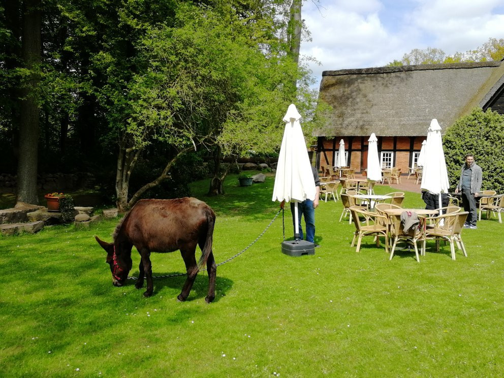 Sonja Scholling-Oldendorf必去景点