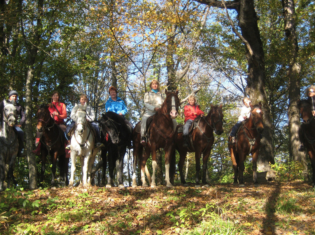 Club of Equestrian Tourism Fisht景点图片