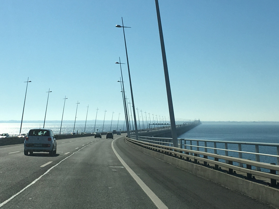 Vasco da Gama Bridge景点图片