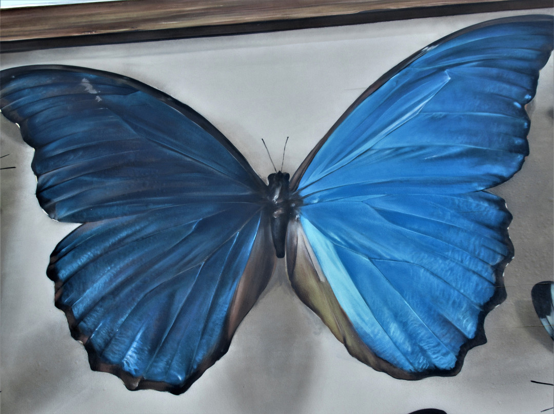 Fresque "Collection de papillons"-蒂永维尔必去景点