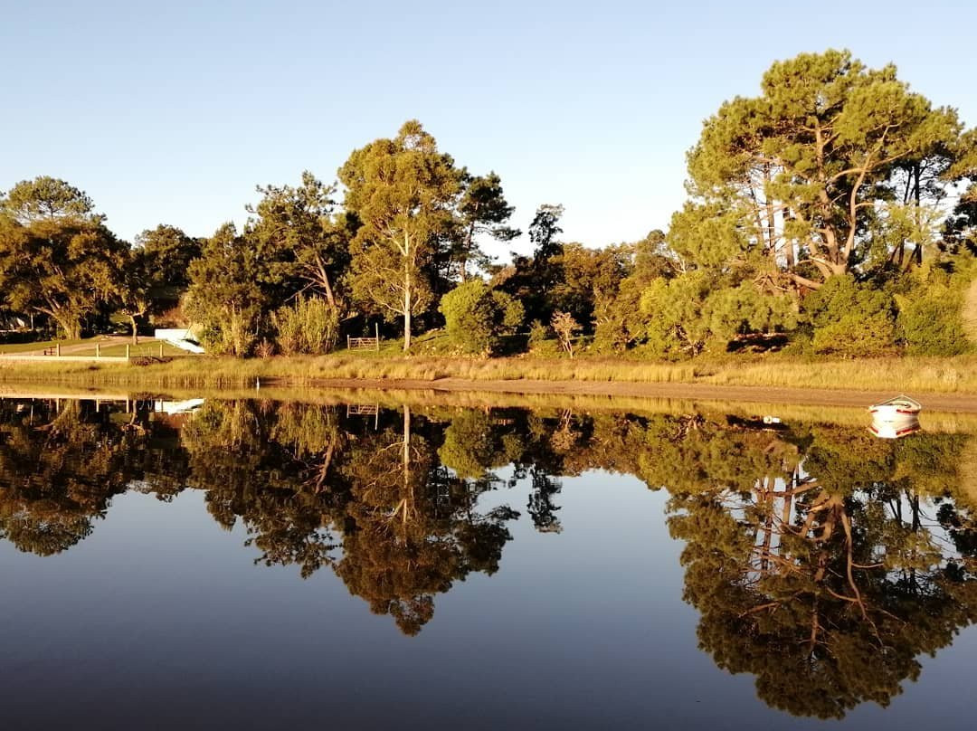 Maldonado Department旅游攻略图片