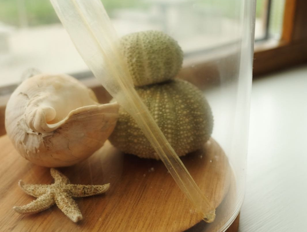 Blue Horizons B&B主图