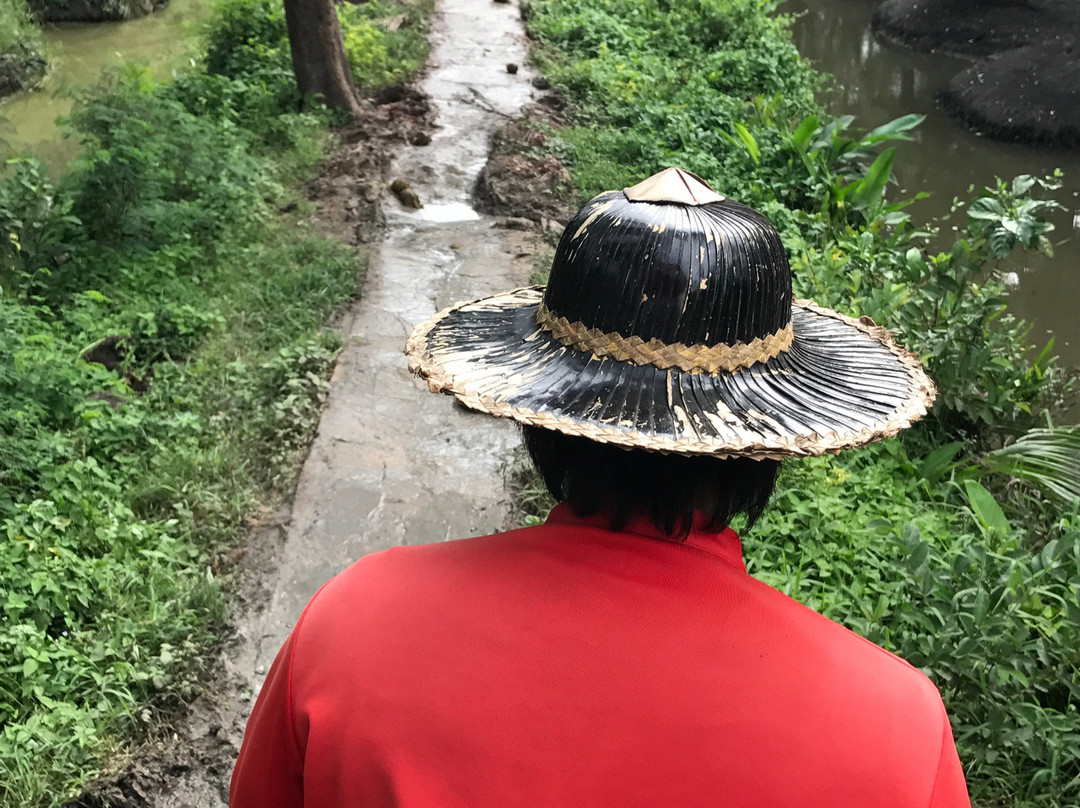 Damnoen Saduak Elephant Village景点图片