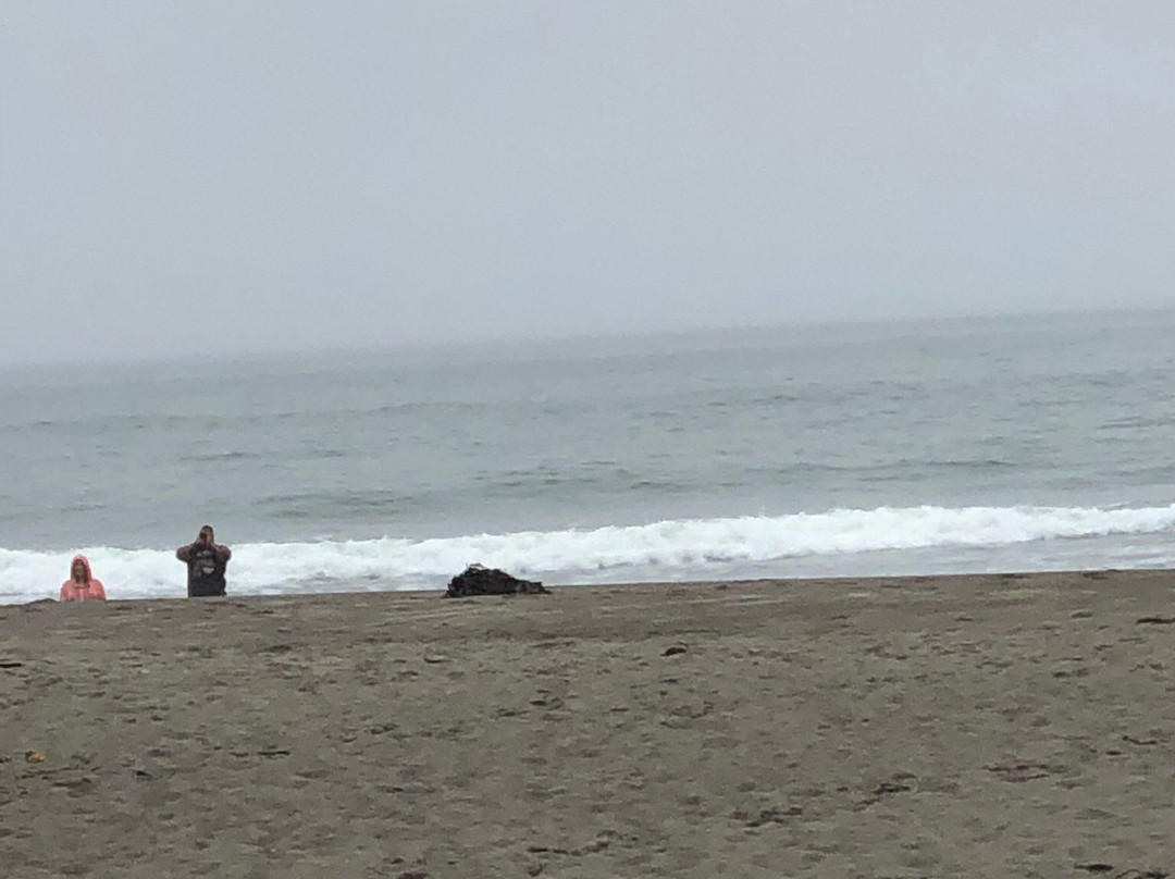 米尔谷旅馆主图