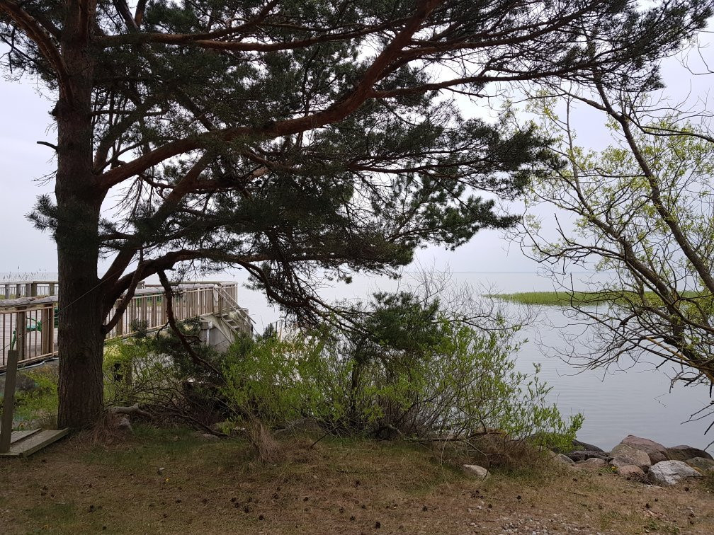 Drevnyaya Sambiya景点图片