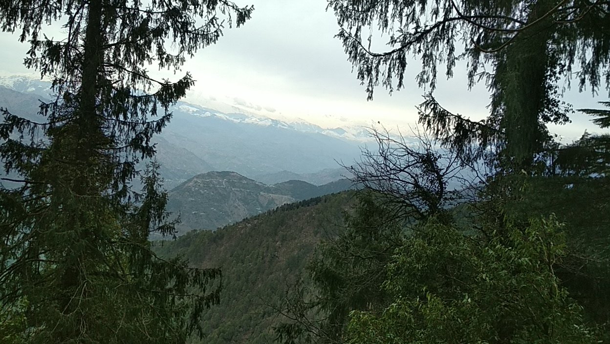 Mohan Palace Dalhousie-酒店景观