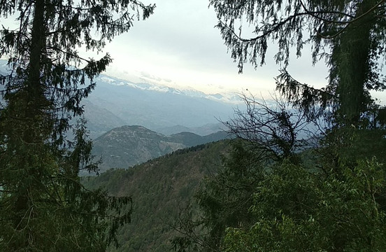 Mohan Palace Dalhousie主图