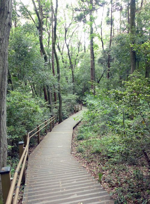 Zama Yatoyama Park-座间市必去景点