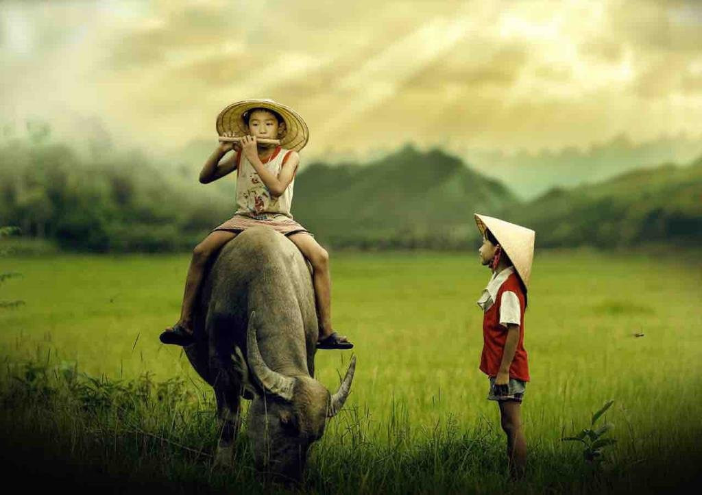 Ninh Xuan旅游攻略图片