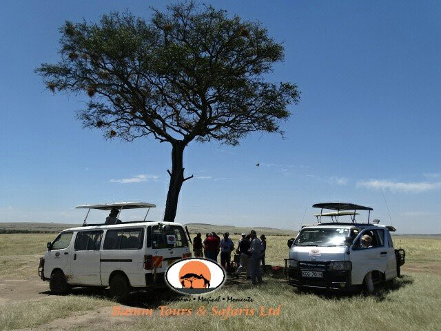 Bamm tours and safaris-内罗毕必去景点