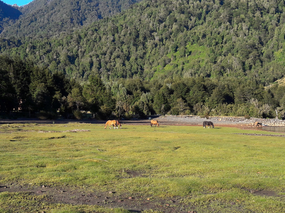 Yelcho Lake-Chaiten必去景点