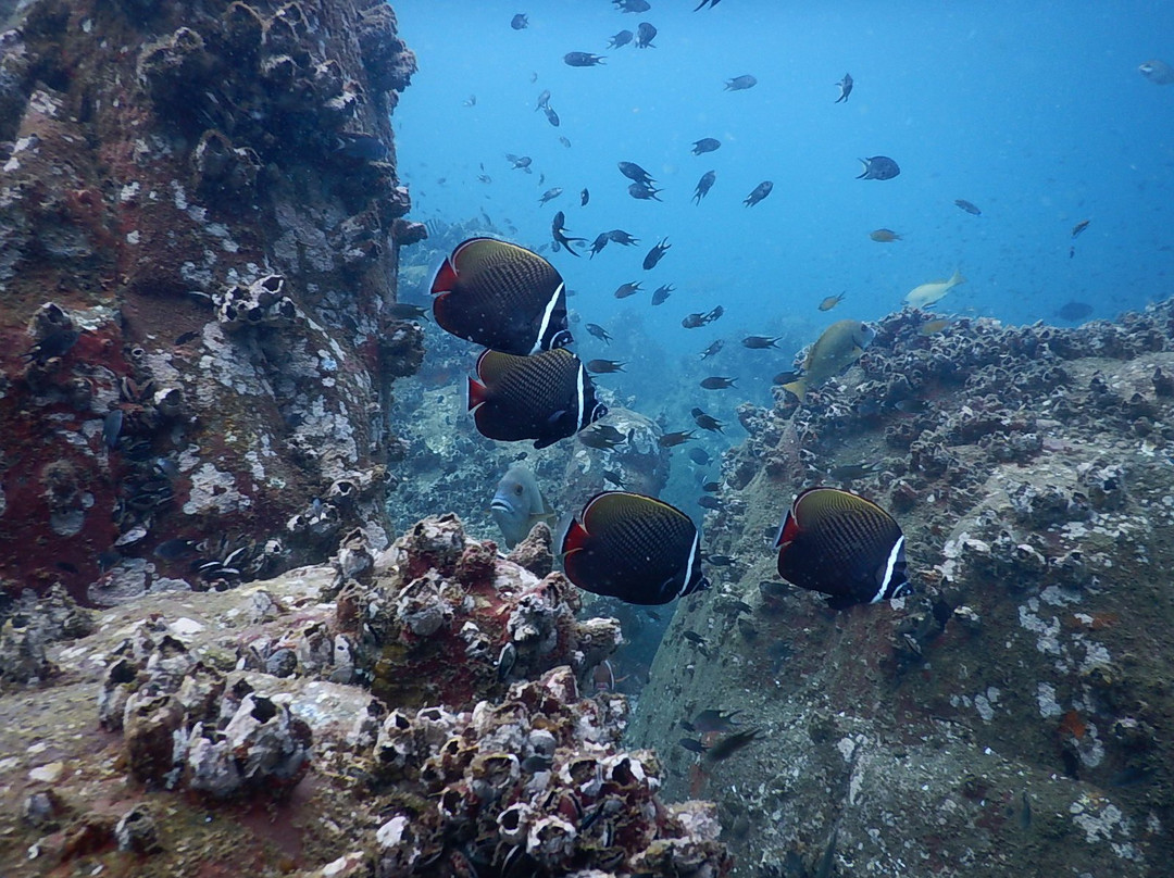 West Coast Adventures Kapu-乌杜皮必去景点